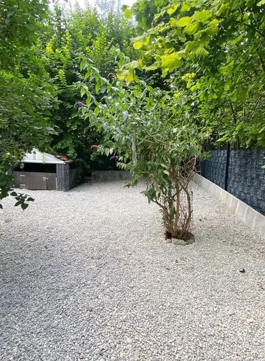 Kiesfläche mit Strauch im Garten